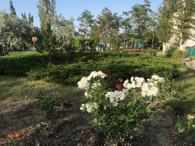 База Отдыха Наука Коблево Koblewe Exterior foto